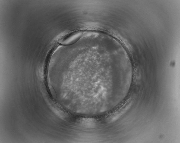 X0000116610203201001221326