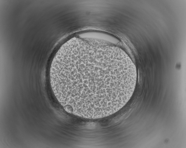 X0000116610204201001221326