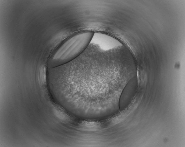 X0000116610205201001221326