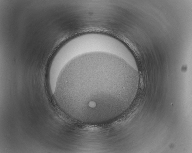 X0000116610207201001221326