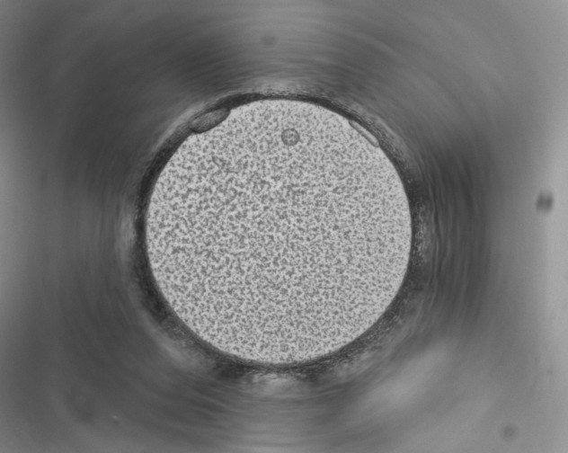 X0000116610208201001221326