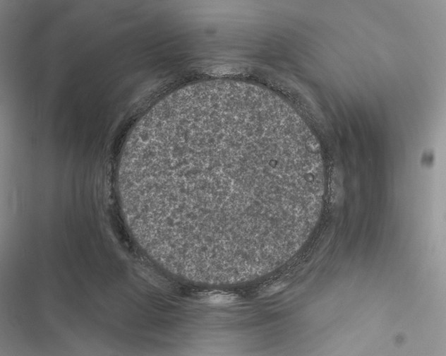 X0000116610210201001221326