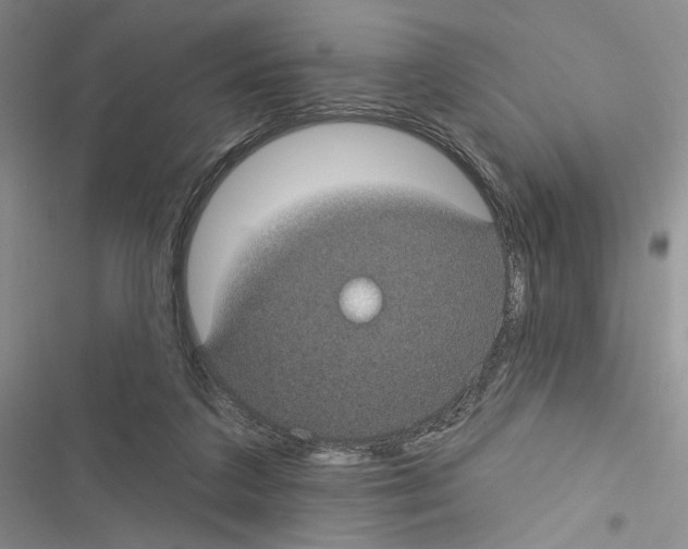 X0000116610211201001221326