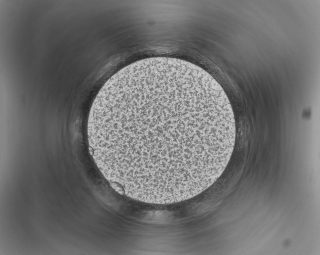 X0000116610212201001221326