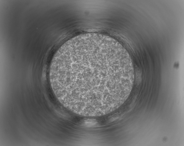 X0000116610214201001221326