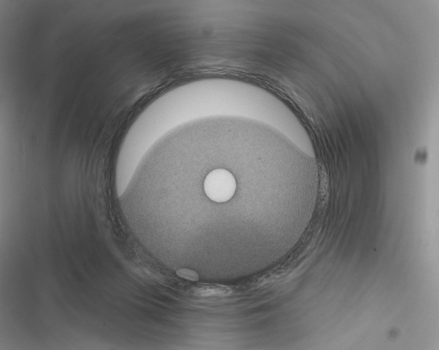 X0000116610215201001221326