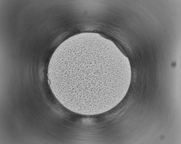 X0000116610216201001221326