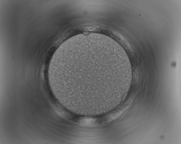 X0000116610217201001221326