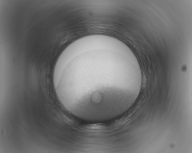 X0000116610219201001221325