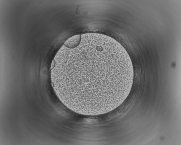 X0000116610220201001221325