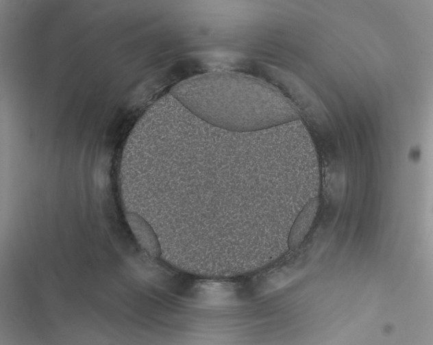 X0000116610221201001221325