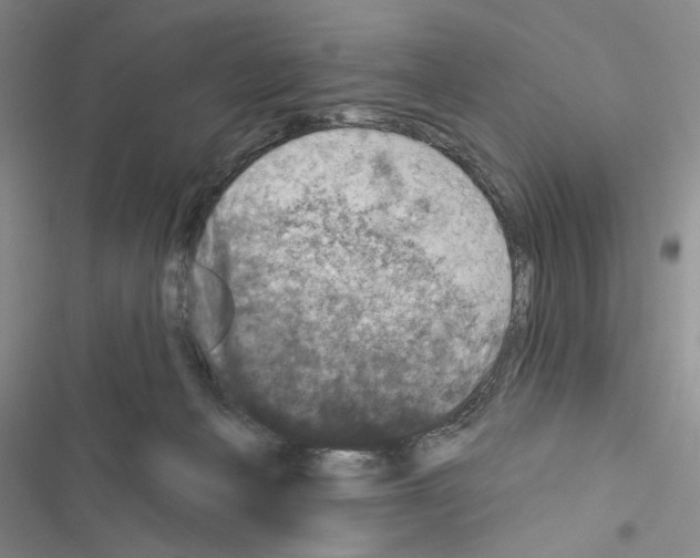 X0000116610222201001221325