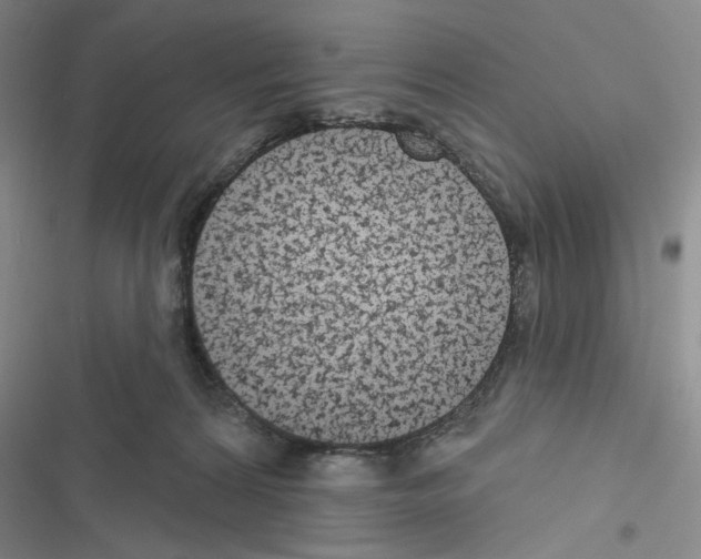 X0000116610224201001221325