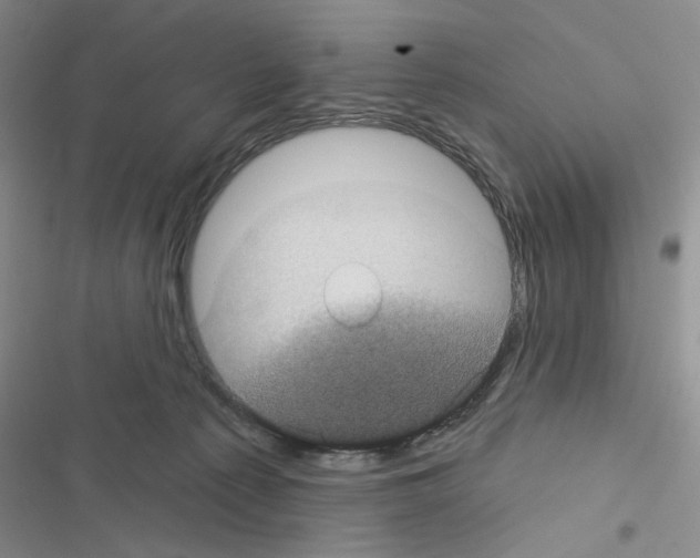 X0000116610225201001221325