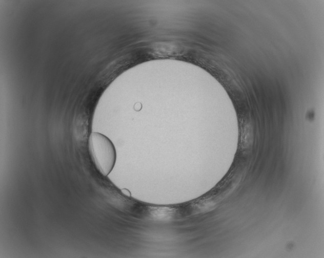 X0000116610226201001221325