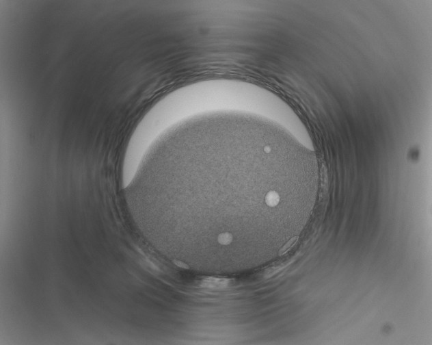 X0000116610227201001221325