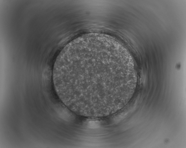 X0000116610228201001221325