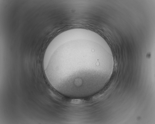 X0000116610231201001221325