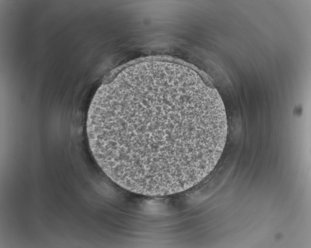 X0000116610232201001221325