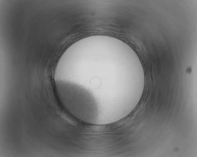 X0000116610233201001221325