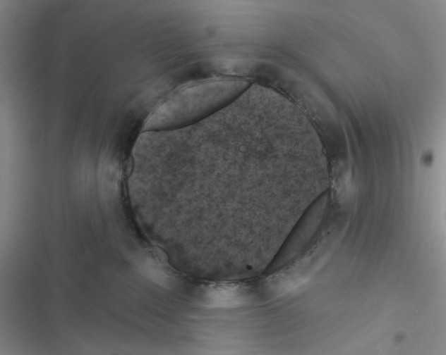 X0000116610235201001221325