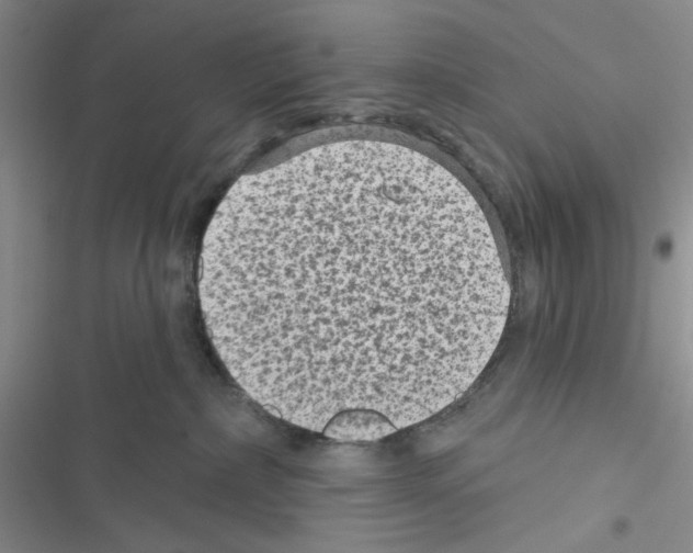 X0000116610236201001221325