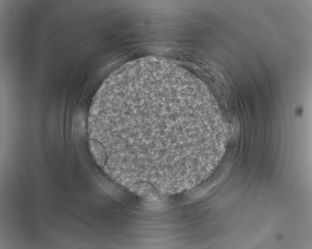 X0000116610238201001221325