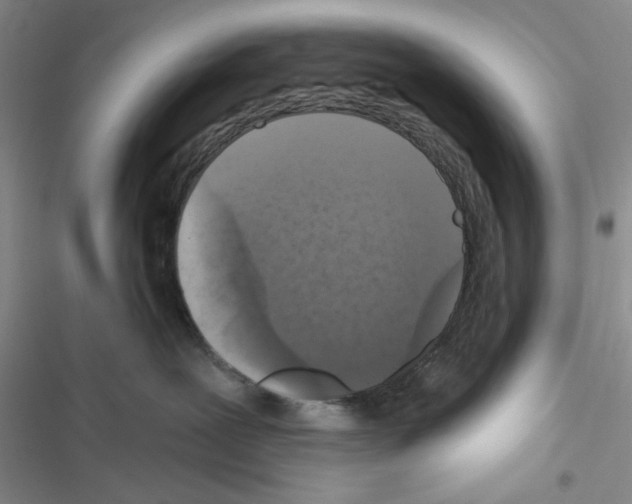 X0000116610239201001221325