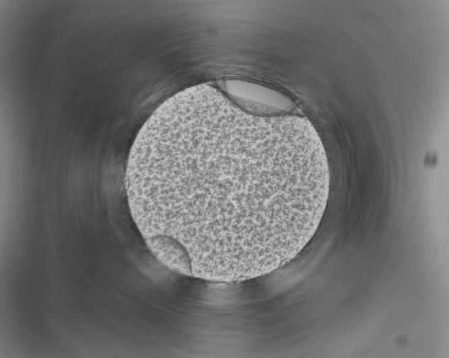 X0000116610240201001221325