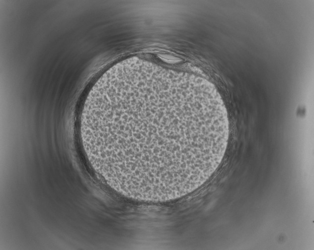 X0000116610242201001221325