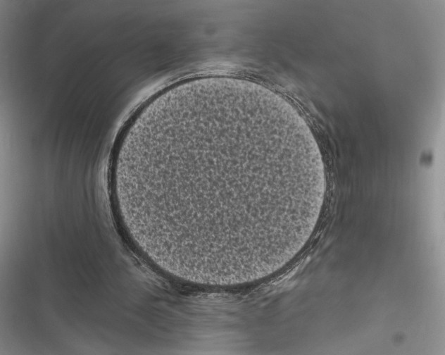 X0000116610244201001221325