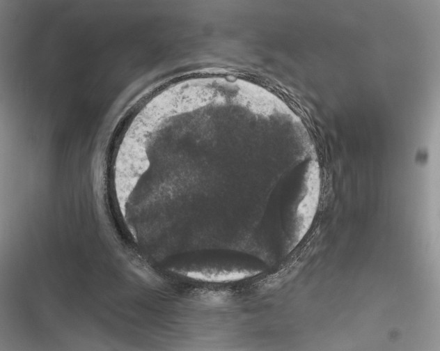 X0000116610247201001221325