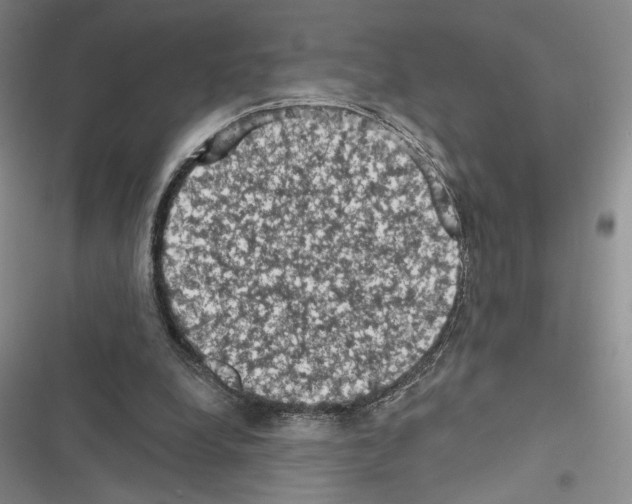 X0000116610248201001221325