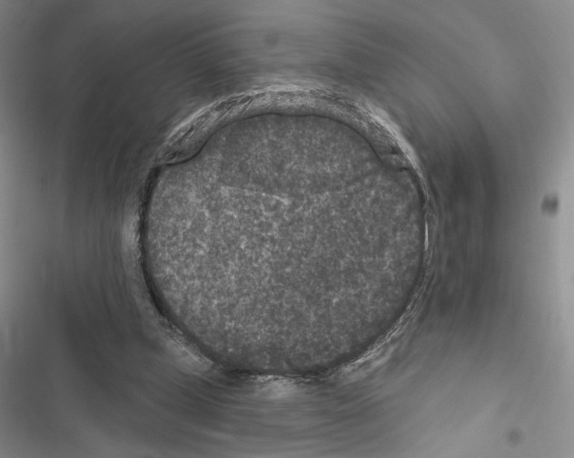 X0000116610249201001221325