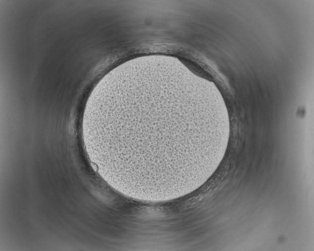 X0000116610250201001221325