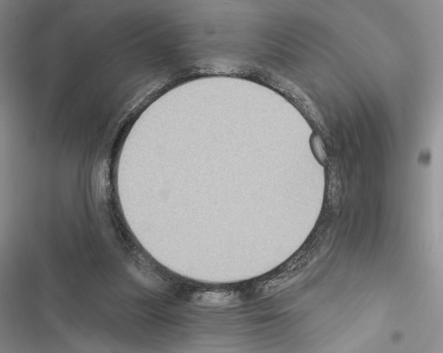 X0000116610251201001221325