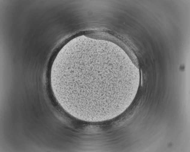 X0000116610252201001221325