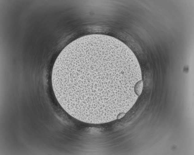 X0000116610255201001221325