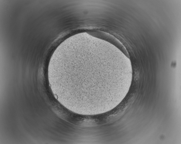 X0000116610256201001221325