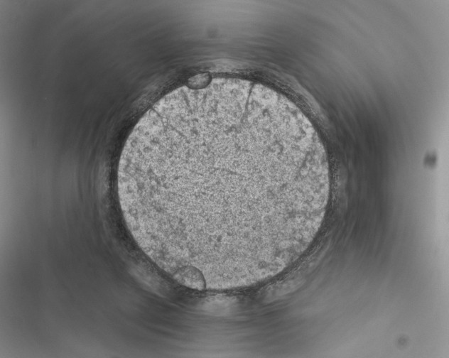 X0000116610257201001221325