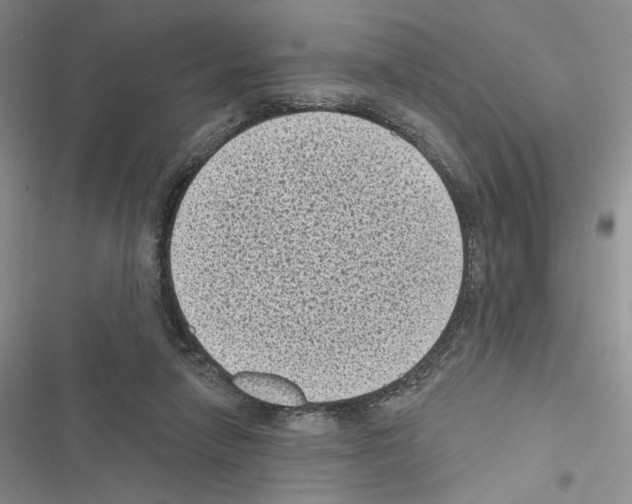 X0000116610258201001221325