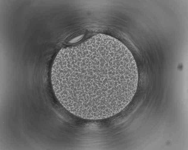 X0000116610259201001221325