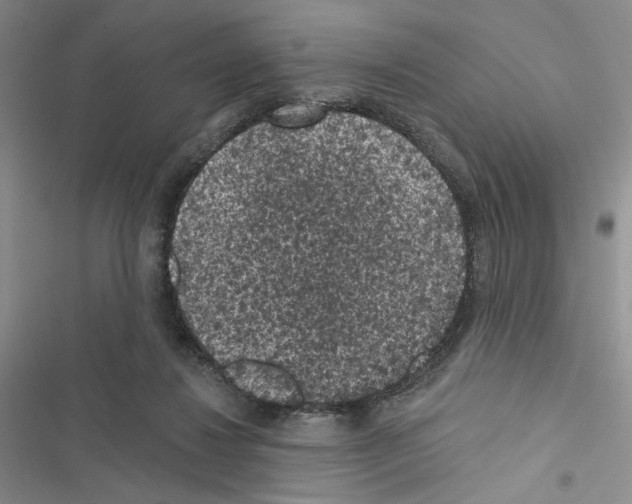 X0000116610260201001221325