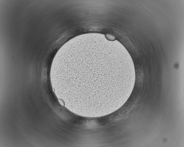 X0000116610262201001221325