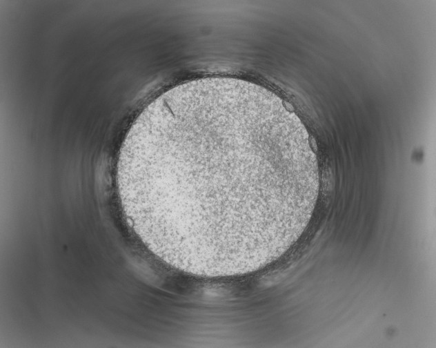 X0000116610264201001221325