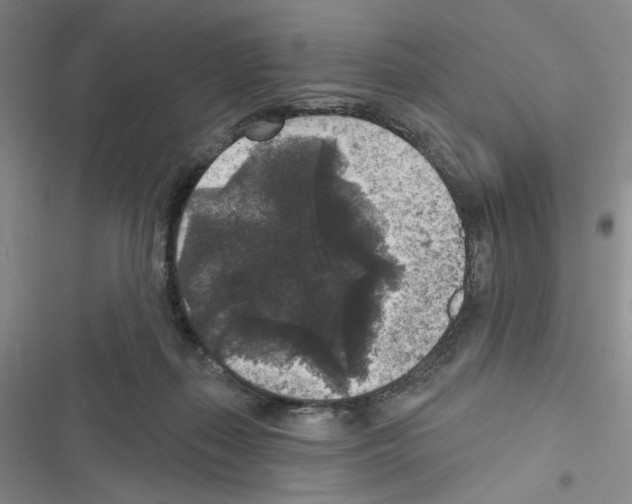 X0000116610267201001221325