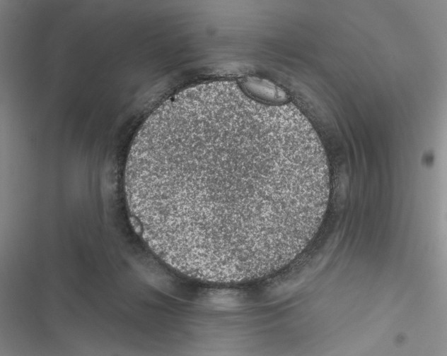 X0000116610268201001221325