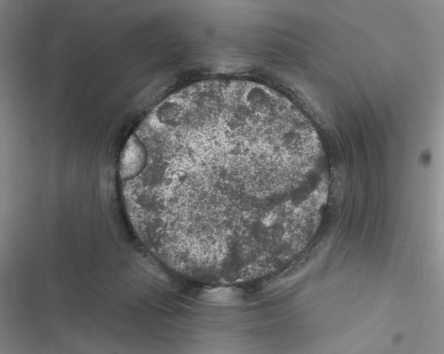 X0000116610269201001221325