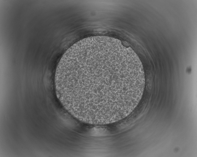 X0000116610270201001221325