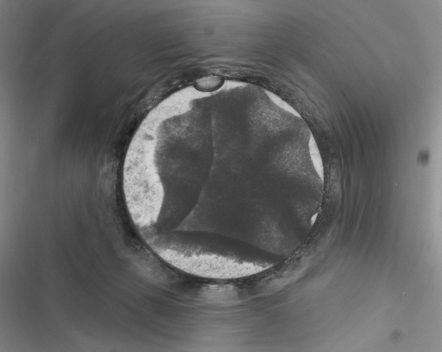 X0000116610271201001221325